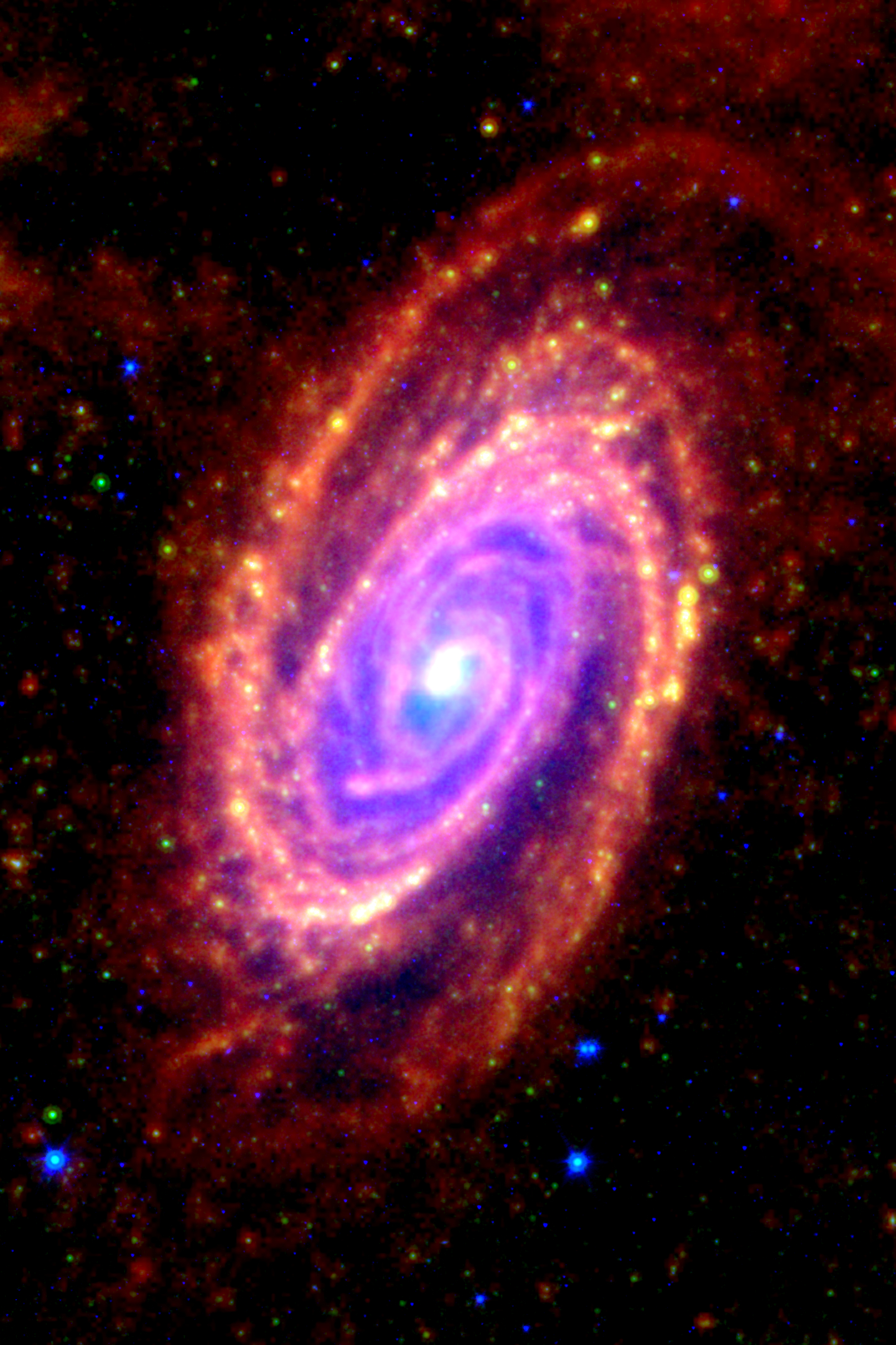 M81 (NGC 3031) as seen in the infrared